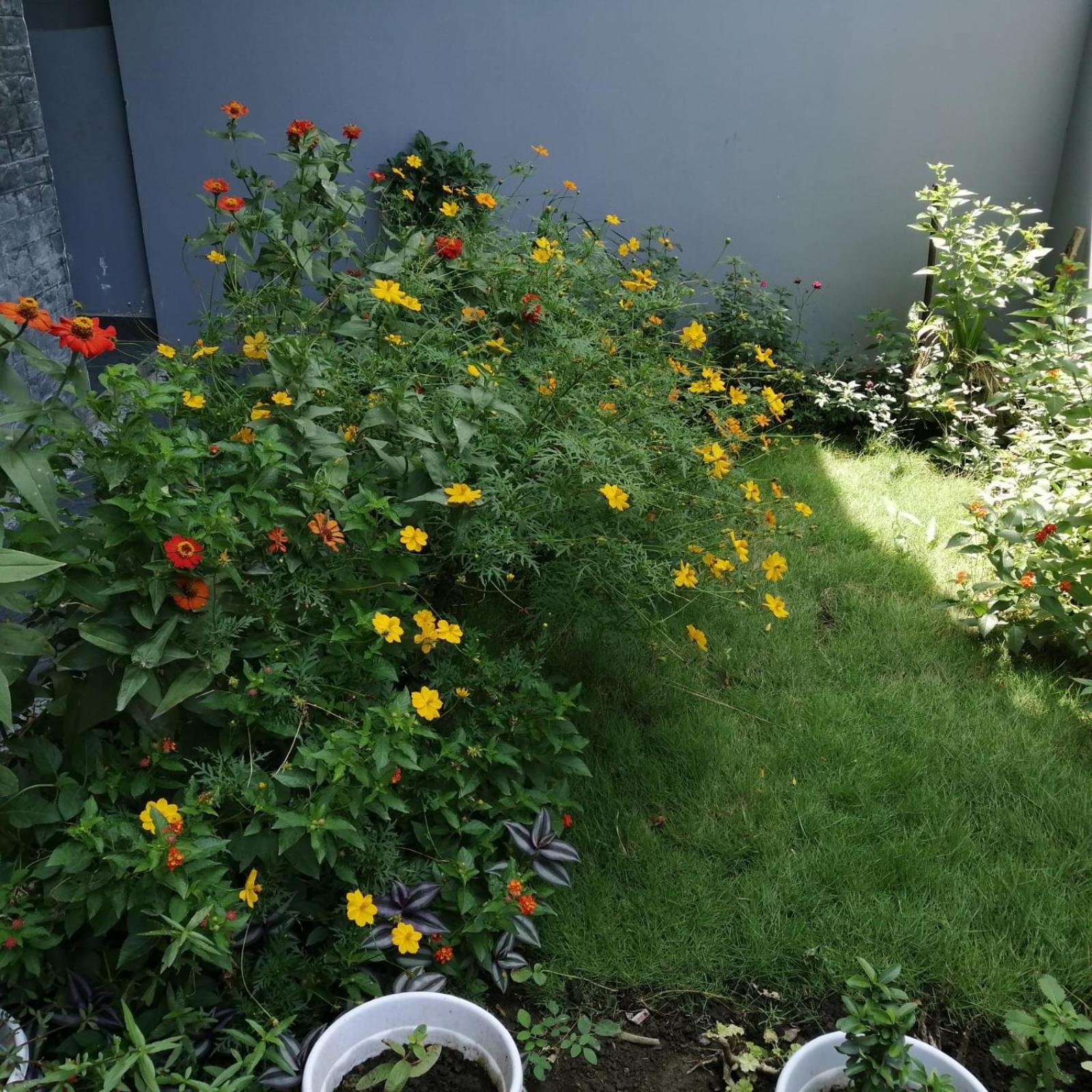 Aashiyana Home Stay Bhopal Exterior photo